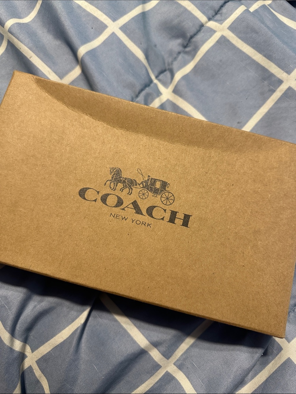 CoachXPeanuts Wristlet Wallet